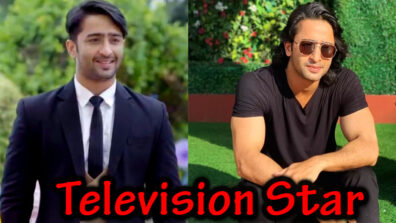 Shaheer Sheikh: The Television Star on whom audience is going gaga!