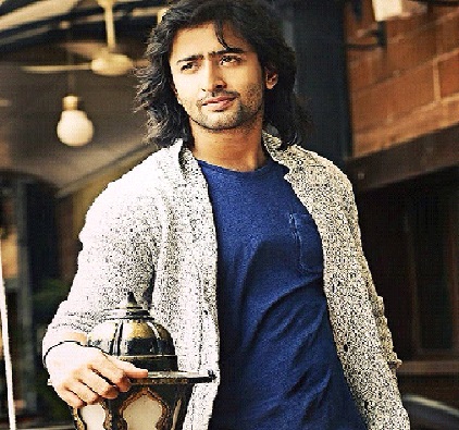 Shaheer Sheikh's Fitness Routine Gives Us Major Fitness Goals!