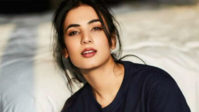 Skyfire’s concept intrigued me: Sonal Chauhan