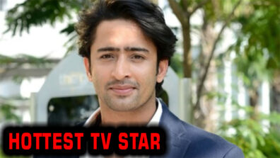 These drool worthy pictures of Shaheer Sheikh prove he is the hottest TV star