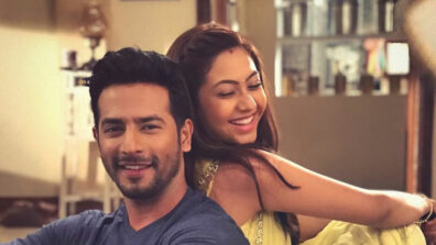 Tujhse Hai Raabta: Malhar gives a gift to Kalyani