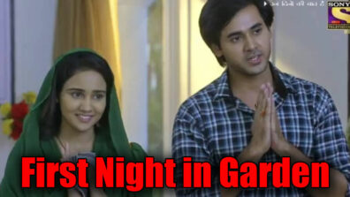 Yeh Un Dinon Ki Baat Hai: Sameer and Naina to spend their first night in Mumbai in a garden