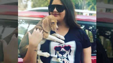 Anjali Anand’s love for dogs