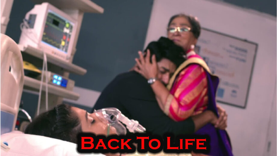 Guddan Tumse Na Ho Payega 10 June 2019 Written Update: Guddan comes back to life