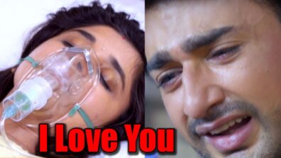 Guddan Tumse Na Ho Payega: ‘I Love You,’ says Akshat to Guddan