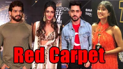 Karan Patel, Erica Fernandes, Zain Imam, Shivangi Joshi and more grace the red carpet of IWMBuzz Party