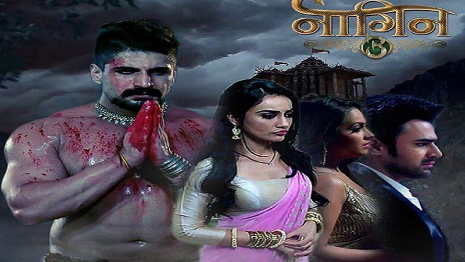 True Fan Of Naagin? Take A Test - 3