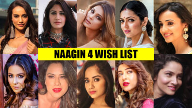 Naagin 4: Female lead for the new season