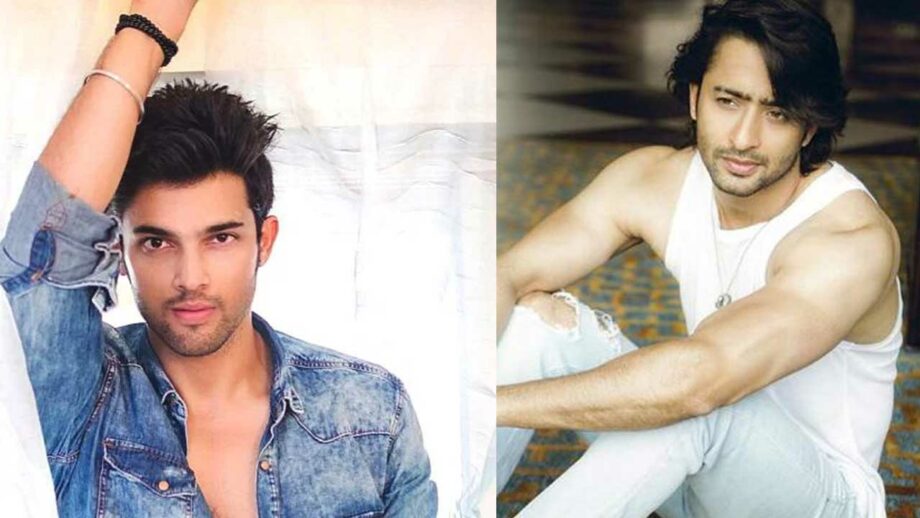 Parth Samthaan or Shaheer Sheikh: Hot bod of TV