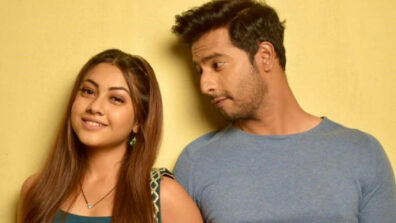 Tujhse Hai Raabta: Malhar and Kalyani’s love-hate moments