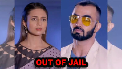 Yeh Hai Mohabbatein 13 June 2019 Written Update Full Episode: Sahil out of the jail