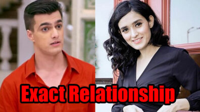 Yeh Rishta Kya Kehlata Hai: Exact relationship between Kartik and Vedika