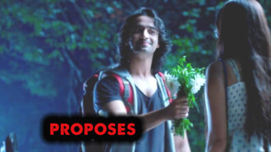 Yeh Rishtey Hai Pyaar Ke 12 June 2019 Written Update: Abhir Proposed to Mishty