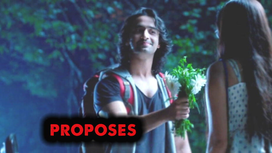 Yeh Rishtey Hai Pyaar Ke 12 June 2019 Written Update: Abhir Proposed to Mishty