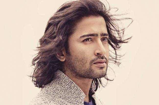 The Best 17 Shaheer Sheikh Hairstyle In Mahabharat HD wallpaper | Pxfuel