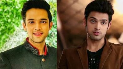 Parth Samthaan transformation from Manik to Anurag