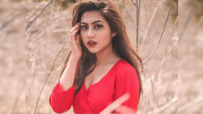 Everything you need to know about Tujhse Hai Raabta Kalyani aka Reem Shaikh