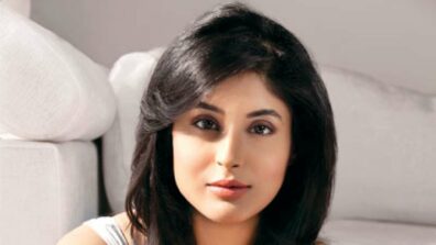 Kritika Kamra reveals the real reason behind working in Saif Ali Khan starrer Tandav