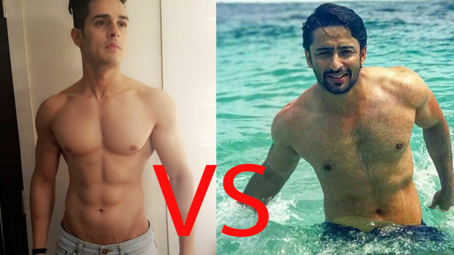 Priyank Sharma or Shaheer Shaikh: The hottest hunk