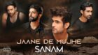 SANAM band releases a heartfelt love track Jaane De Mujhe with VYRL Originals