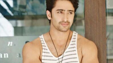 UNKNOWN FACTS about Shaheer Sheikh’s life