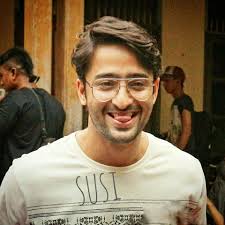 Shaheer Sheikh: The most eligible bachelor - 1