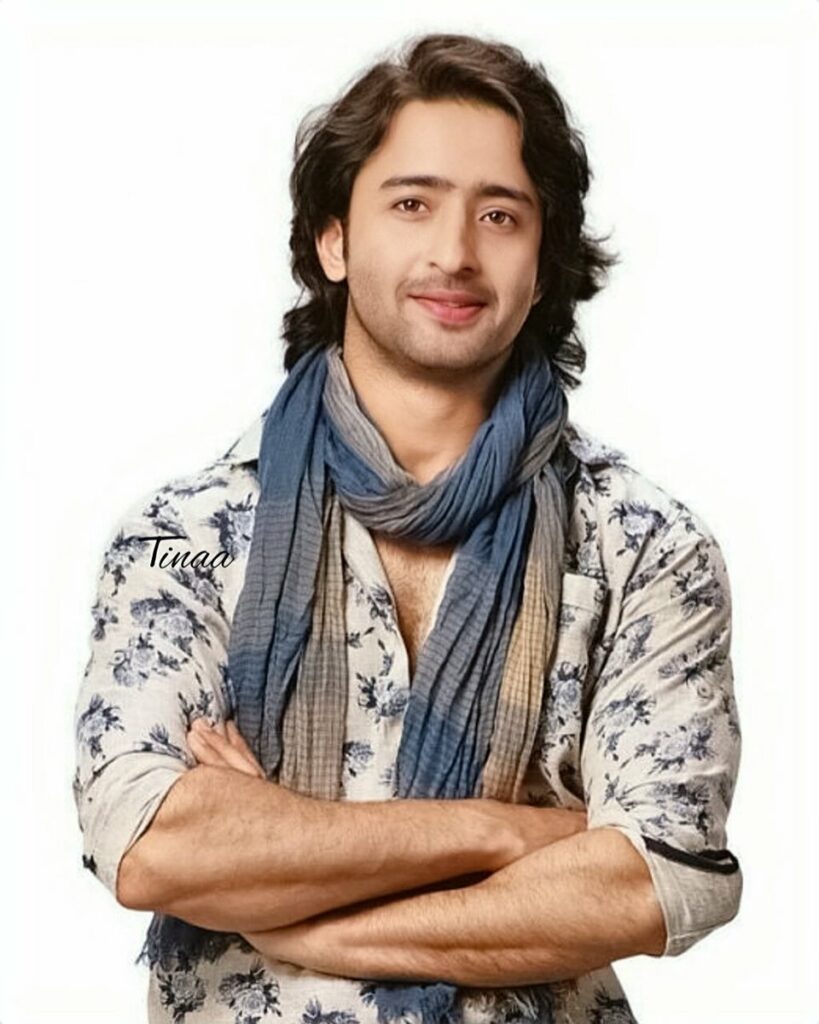 Shaheer Sheikh is Every Woman's Prince of Dream! - 1