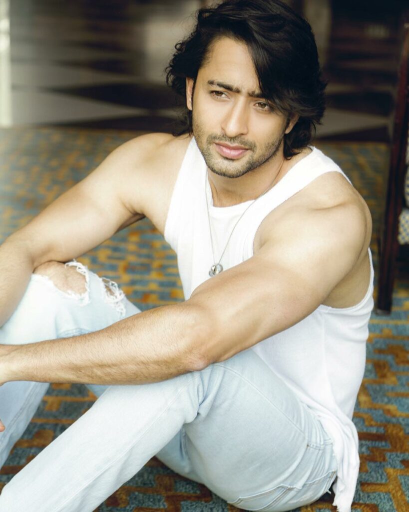 Shaheer Sheikh: The most eligible bachelor - 4