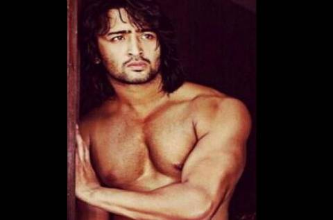 Shaheer Sheikh’s hot shirtless pictures - 0