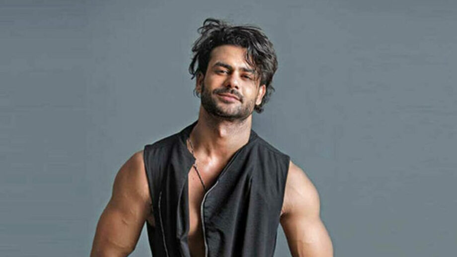 Anita Hassanandani and Rohit Reddy deserve special treatment, being bigwigs: Vishal Aditya Singh