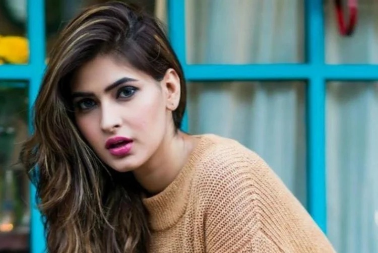 Everything you should know about Viu Sumer Singh Diaries star Karishma Sharma