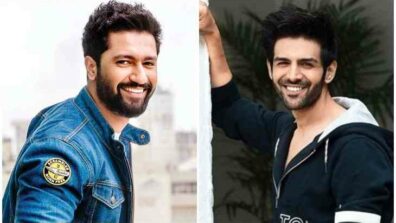 Vicky Kaushal or Kartik Aaryan: Who do you think is the next star?