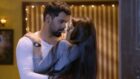 Kumkum Bhagya’s Abhi and Pragya’s relationship has evolved over the years