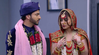 Kundali Bhagya: Karan’s master plan to marry Preeta