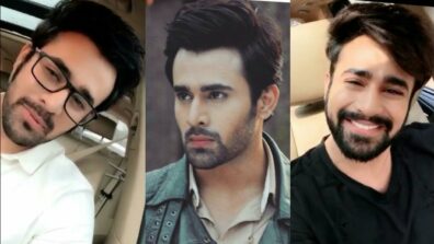 Rise & Rise of Indian TV star Pearl V Puri