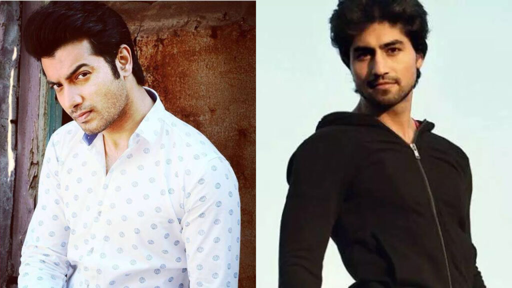 Ssharad Malhotra vs Harshad Chopra: Who is the TV King?