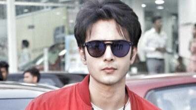 The all-important Naksh Pakhi romance is on the anvil in Hamari Bahu Silk: Zaan Khan