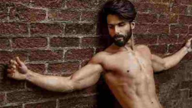 When Shahid Kapoor set the temperatures soaring with these pictures