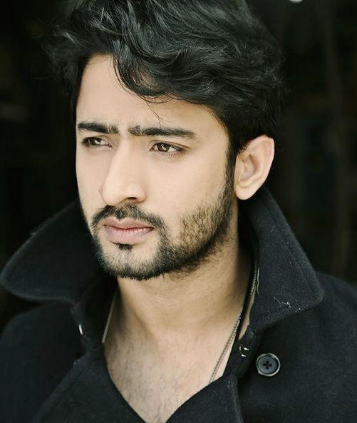 Shaheer Sheikh-The Indian Lawyer Turned Successful Actor - 3