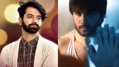 Barun Sobti or Vivian Dsena: The bearded hunk