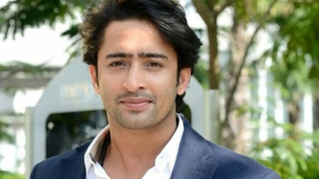 All the reasons Shaheer Sheikh is our forever favourite - 4