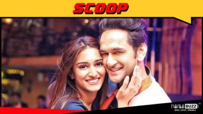 Are Vikas Gupta and Erica Fernandes dating?