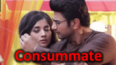 Guddan Tumse Na Ho Payega: Akshat and Guddan to consummate