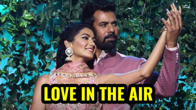 Kumkum Bhagya: Abhi and Pragya to ROMANCE again