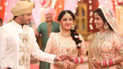 Patiala Babes: Hanuman and Babita to tie the knot