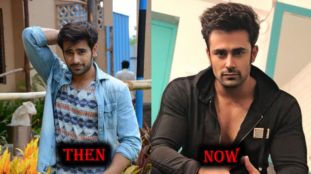 Then vs Now: THIS is how Pearl V Puri looked before riding on top 1