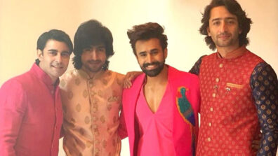 Shaheer Sheikh, Harshad Chopda, Pearl Puri and Gautam Rode bond in Thailand