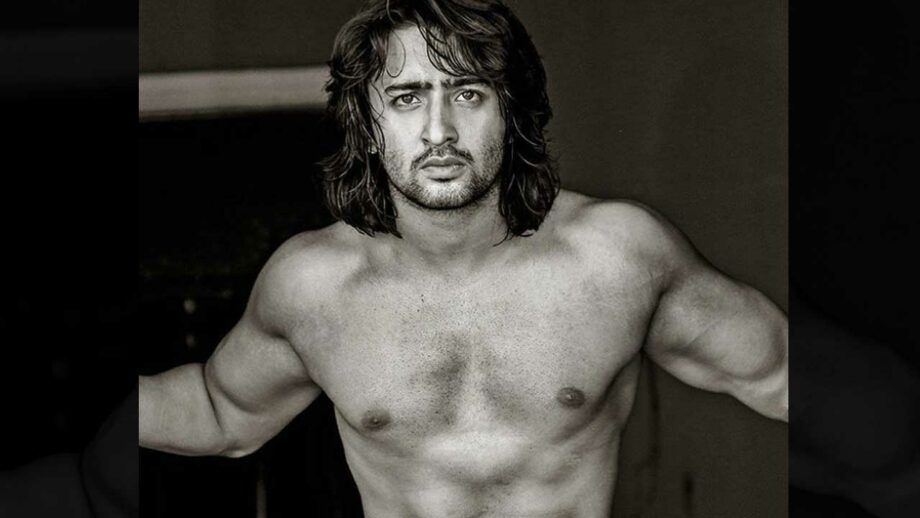 The hottest hunk in telly town: Shaheer Sheikh - 3