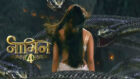 Naagin – Bhagya Ka Zehreela Khel: What can we expect from this new show?