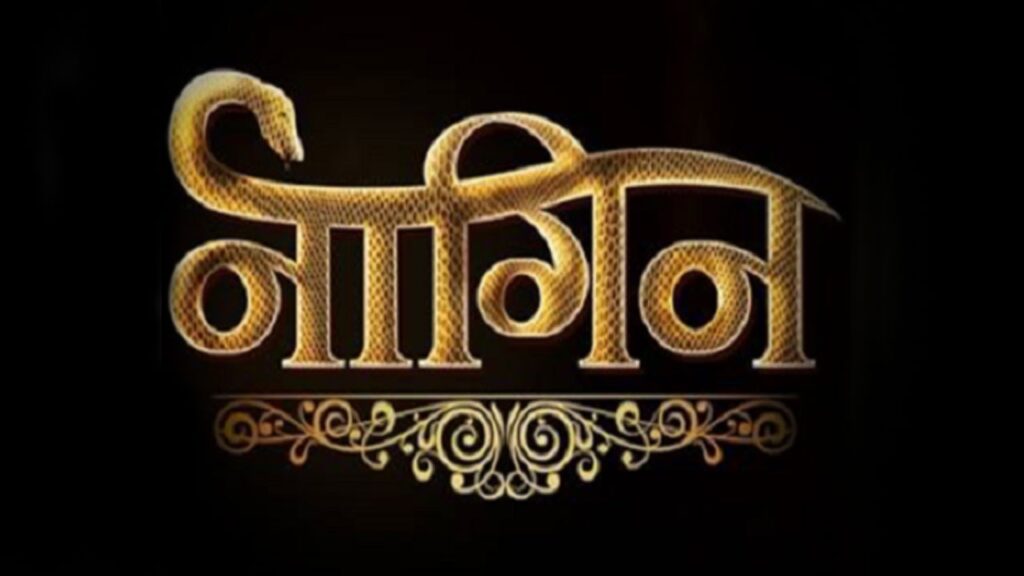 Are you a die hard fan of Naagin? Take a test